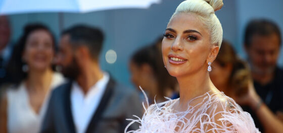 Success: Lady Gaga’s dogs have been rescued