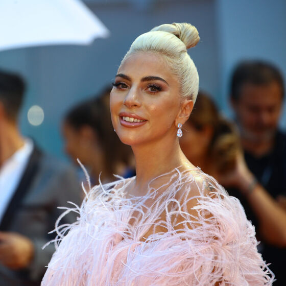 Success: Lady Gaga’s dogs have been rescued