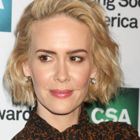 Trans fans are fighting about Sarah Paulson’s Twitter. Here’s why…