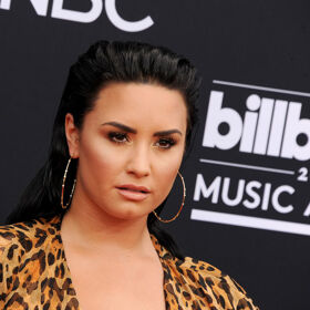 Demi Lovato says they may identify as trans some day