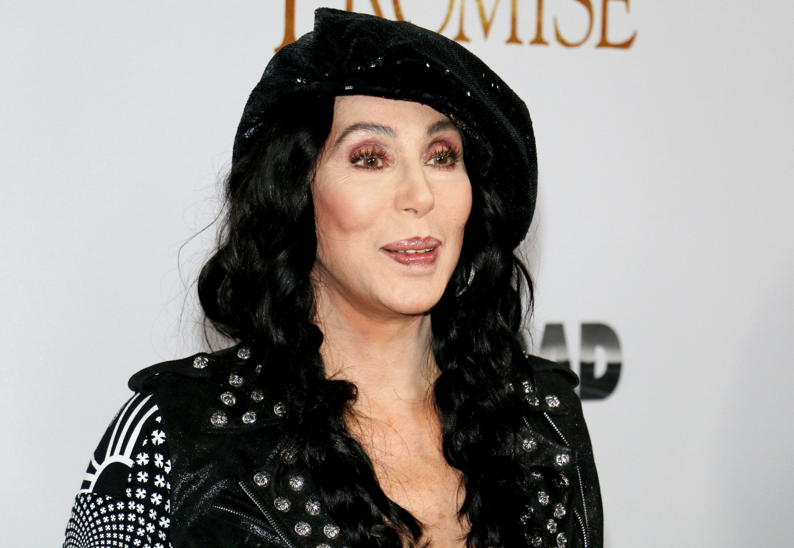 Cher gives the world EXACTLY what it needs in one tweet