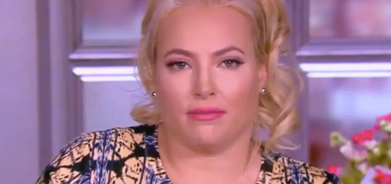Just when we didn’t think Meghan McCain could get any meaner, this happened…