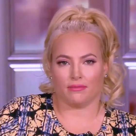 Just when we didn’t think Meghan McCain could get any meaner, this happened…