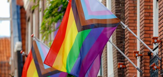 This school district banned Pride flags, but the local Gay Mafia™ isn’t giving them up without a fight