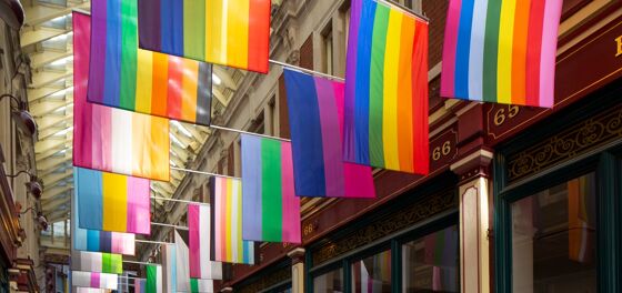 30 different pride flags hang together in a stunning celebration of joy and freedom
