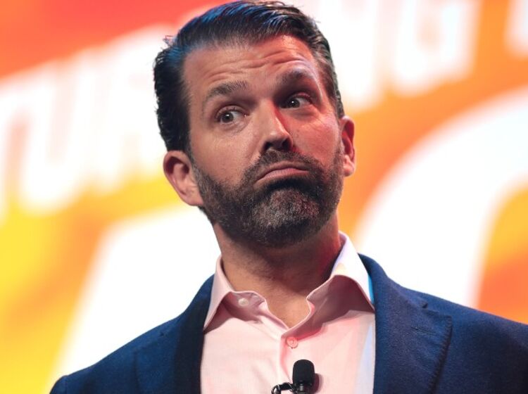 Don Jr. encourages people to support baker who refused cake for trans woman