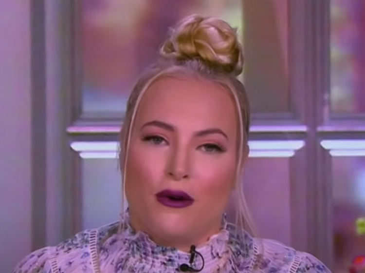 Meghan McCain has Twitter tantrum after not being invited to Met Gala, claims to “love fashion”