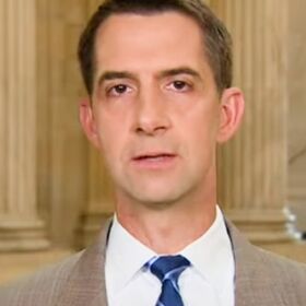 GOP Senator Tom Cotton suggests people without kids shouldn’t be teachers