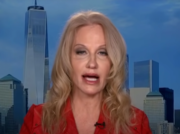 Kellyanne just got busted in the sloppiest right-wing propaganda plot ever