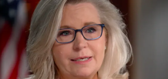 Did this Hollywood film change Liz Cheney’s stance on gay marriage?