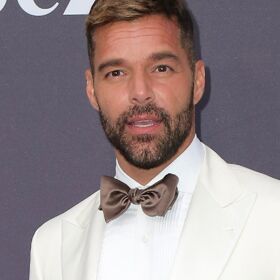 Ricky Martin excites fans with bathtub photo