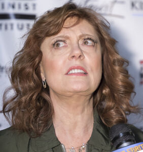 Susan Sarandon is having an absolutely terrible week on Twitter and it's all because of 2016