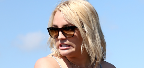 Did Jamie Lynn Spears really run over her cats and then blame Tesla?
