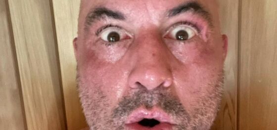 It looks like shock jock Joe Rogan might be in deep trouble with Spotify