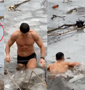 Ripped man rescues stranded dog by stripping down to underwear and plunging into freezing cold lake
