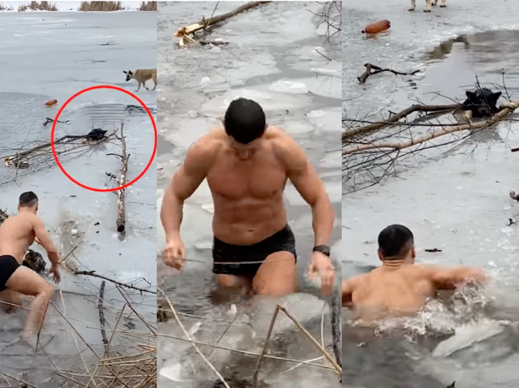 Ripped man rescues stranded dog by stripping down to underwear and plunging into freezing cold lake