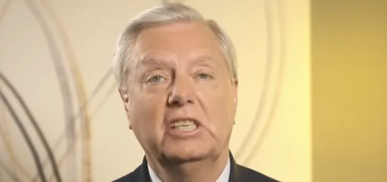 There aren’t enough smelling salts in the world to save Lindsey Graham right now