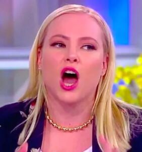 Meghan McCain confuses the Oscars with the FAA, calls everyone “psychopaths” in unhinged tweet