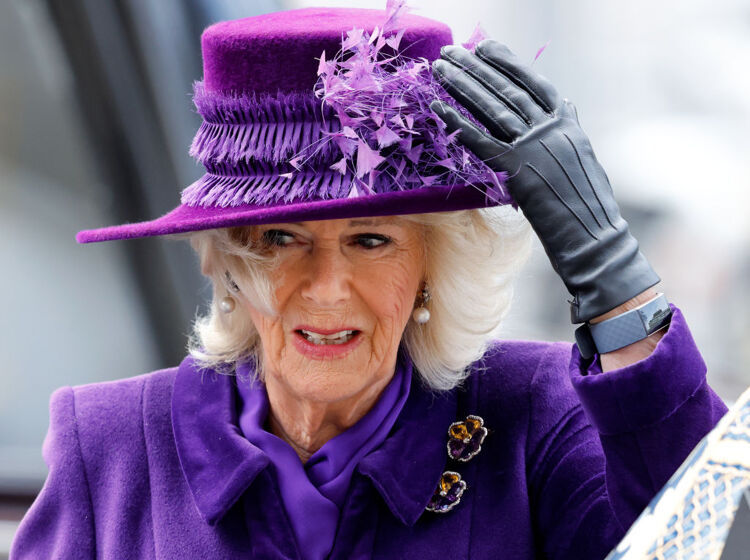 Camilla has been having a rough go at it lately and the ghost of Diana is no doubt very pleased