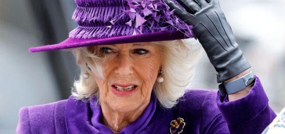 Camilla has been having a rough go at it lately and the ghost of Diana is no doubt very pleased