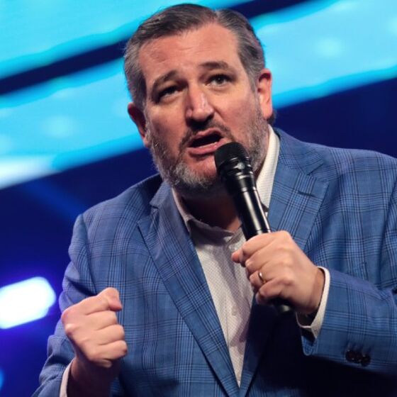 Ted Cruz claims cabin crew can’t stop hugging him and folk have thoughts