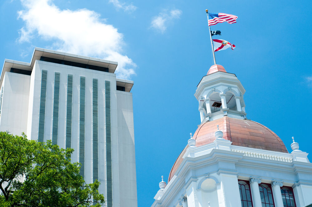 Professor points out the double standard Florida’s “Don’t Say Gay” law misses