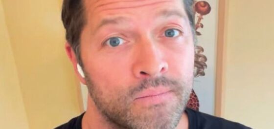 Supernatural actor Misha Collins appears to come out as bisexual