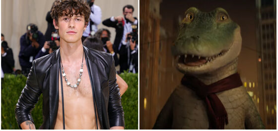Shawn Mendes goes full-on reptile for a steamy bathtub scene and Gay Twitter™ is feeling conflicted