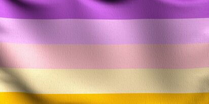 All about the Trixic Pride Flag and being trixic