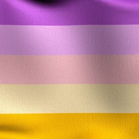 All about the Trixic Pride Flag and being trixic