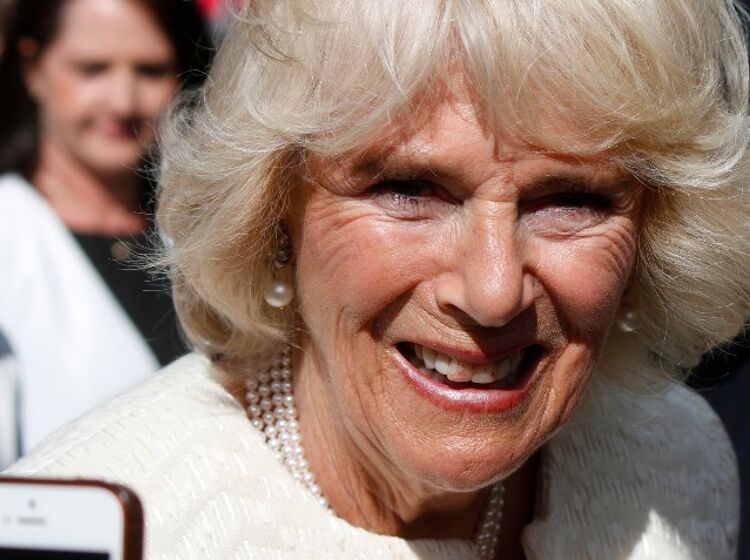 Camilla allegedly said WHAT about Harry and Meghan’s baby?