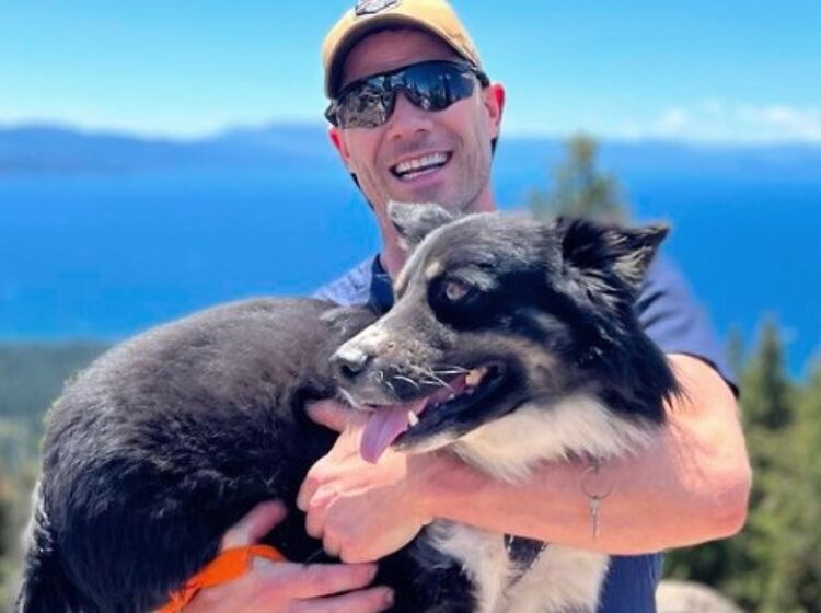 Actor Luke Macfarlane loses dog after it jumps into FedEx truck