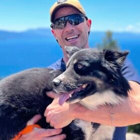 Actor Luke Macfarlane loses dog after it jumps into FedEx truck