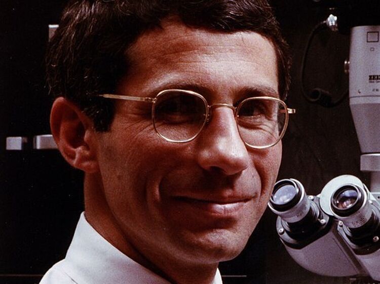 Did you know that Dr. Fauci appeared in the sequel to Larry Kramer’s HIV drama “The Normal Heart”?