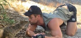 That time Chris Hemsworth’s power bottoming energy went viral