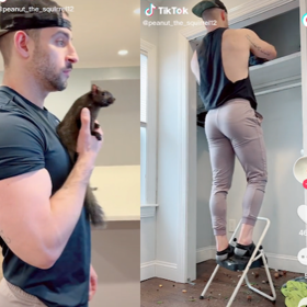 We need to talk about TikTok’s ‘Squirrel Dad’ serving equal parts nuts and meat