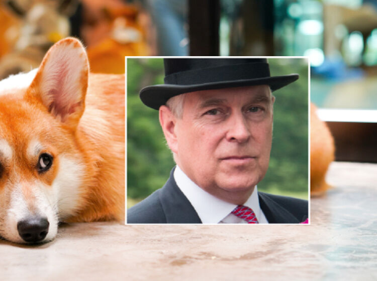 God save the corgis! Prince Andrew and Sarah Ferguson to adopt the Queen’s dogs