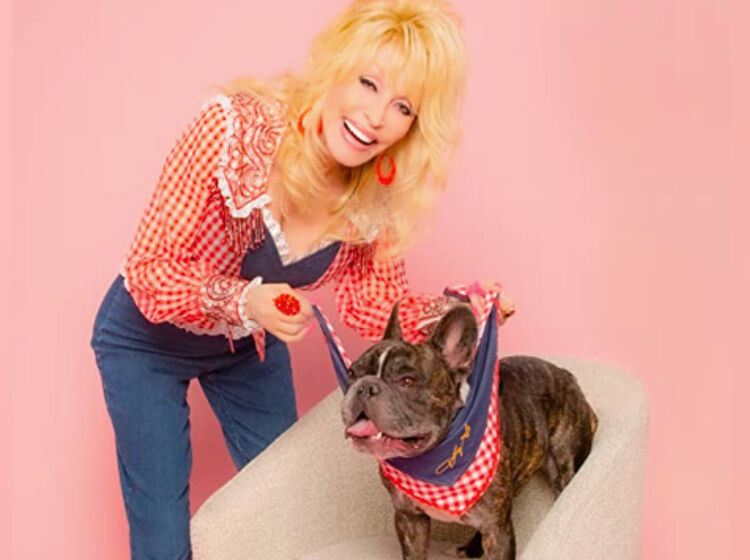 Dolly Parton is selling wigs for dogs as part of her new pet line