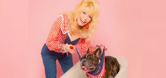 Dolly Parton is selling wigs for dogs as part of her new pet line