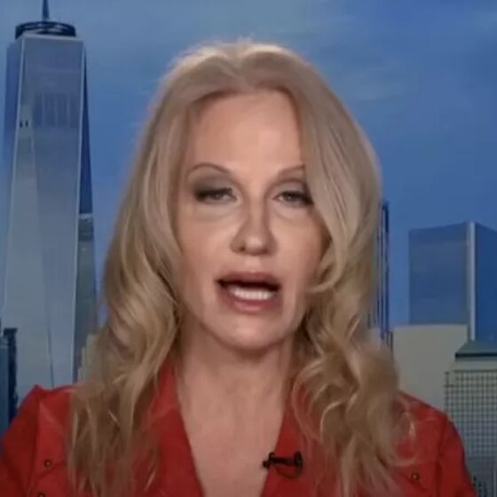 Kellyanne Conway’s messy Fox News appearance mocked for the mess that it is