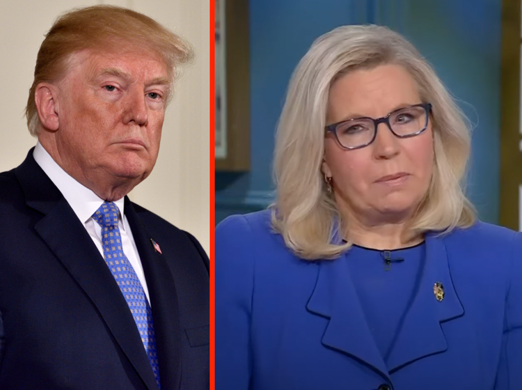 Liz Cheney just let Trump know she’s not f*cking around, in case there was still any confusion