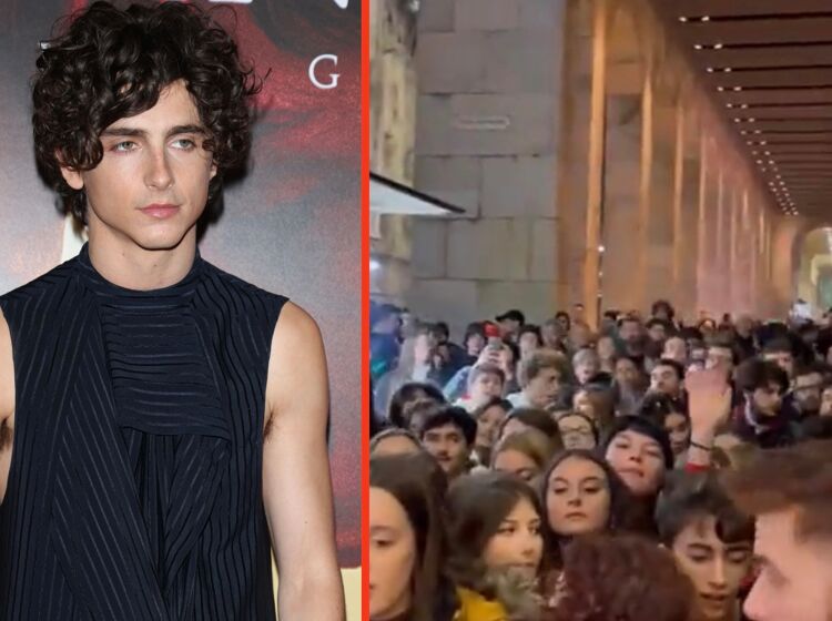 Timothée Chalamet accidentally shut down this red carpet with a literal stan-pede