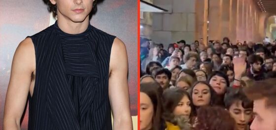 Timothée Chalamet accidentally shut down this red carpet with a literal stan-pede