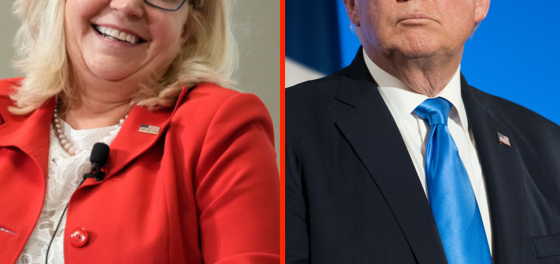 Liz Cheney continues to make Donald Trump’s life miserable, one disastrous poll at a time