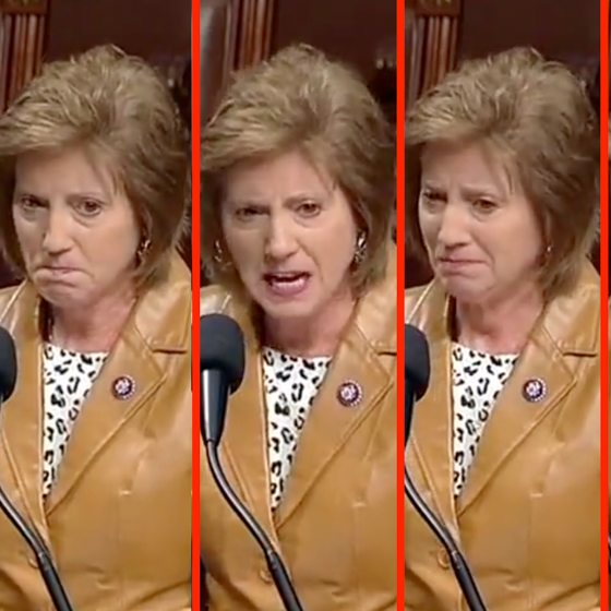 GOP nutjob becomes hysterical as she begs fellow lawmakers not to vote for same-sex marriage bill
