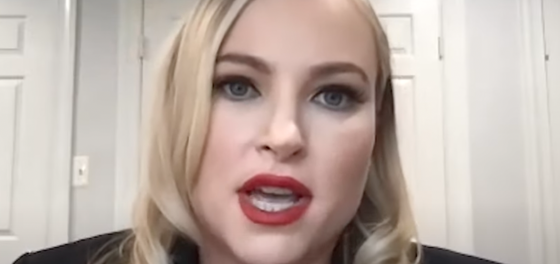 Meghan McCain enters the “nepo baby” chat and we’re all a little dumber now