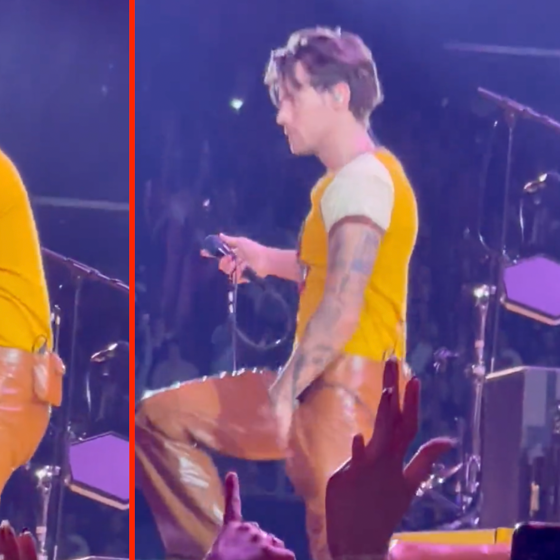 Harry Styles rips through his tight pants, giving audience members quite an eyeful
