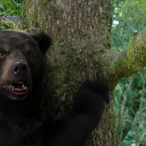 Will ‘Cocaine Bear’ blow us away? Gay Twitter™ is already hailing our next queer horror icon