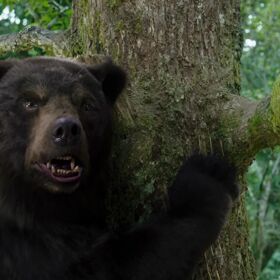 Will ‘Cocaine Bear’ blow us away? Gay Twitter™ is already hailing our next queer horror icon