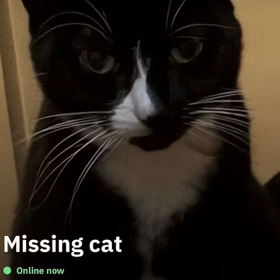 Grindr users unite to save the day and help find a missing cat